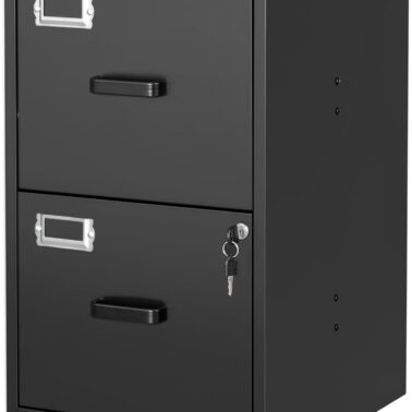 BYNSOE 2 Drawer File Cabinet with Lock Vertical Filing Storage Cabinet Office Home Steel Vertical File Cabinets for Letter Size File Cabinet Locked,Assembly Required